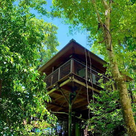 Cairns Rainforest Retreat Exterior foto
