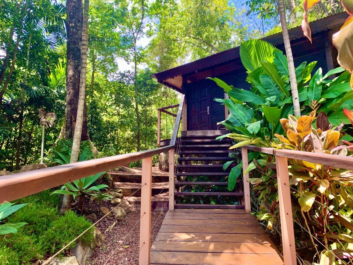 Cairns Rainforest Retreat Exterior foto