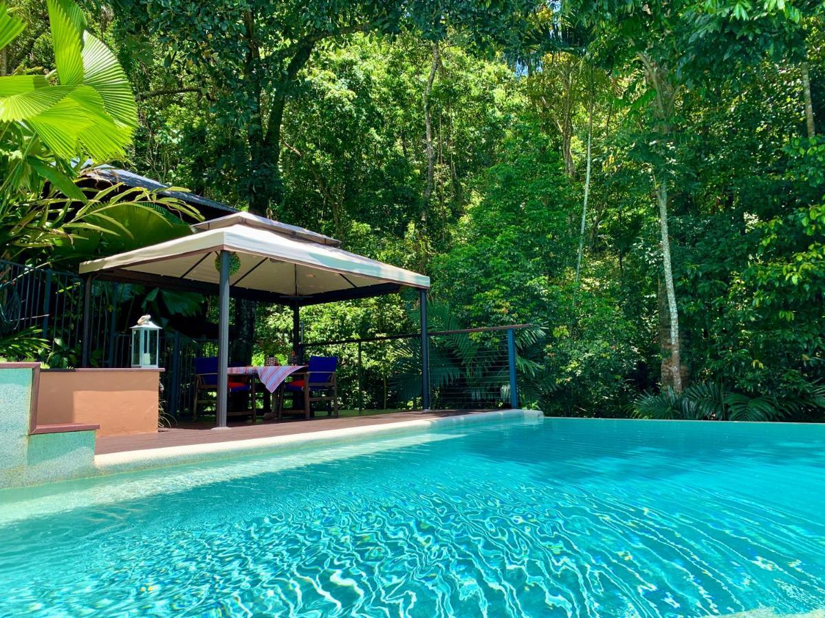 Cairns Rainforest Retreat Exterior foto
